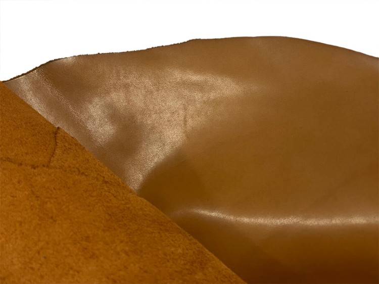 bufallo 386 rudy2.jpg