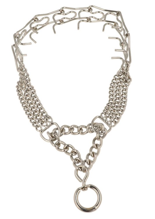 Pół kolczatka_3.jpg