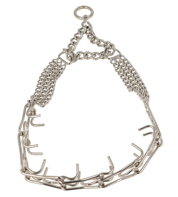 Pół kolczatka_2.jpg