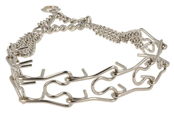 Pół kolczatka_1.jpg