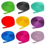 Taśma Nośna Polipropylenowa 10mm/2mm 5mb