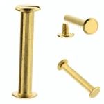 Nity skręcane Nit Śrubka 40mm Złoty płaski 10szt 