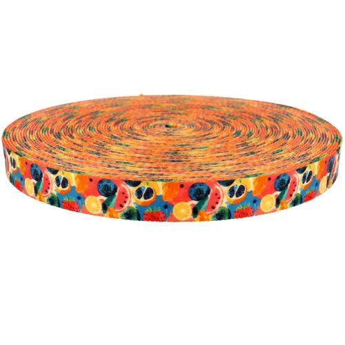 Taśma Nośna 25mm z Grafiką FRUITS Sublimacja naDruk Smycz Obroża