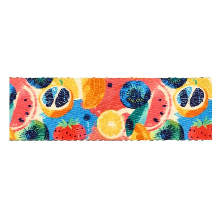 Taśma Nośna 25mm z Grafiką FRUITS Sublimacja naDruk Smycz Obroża