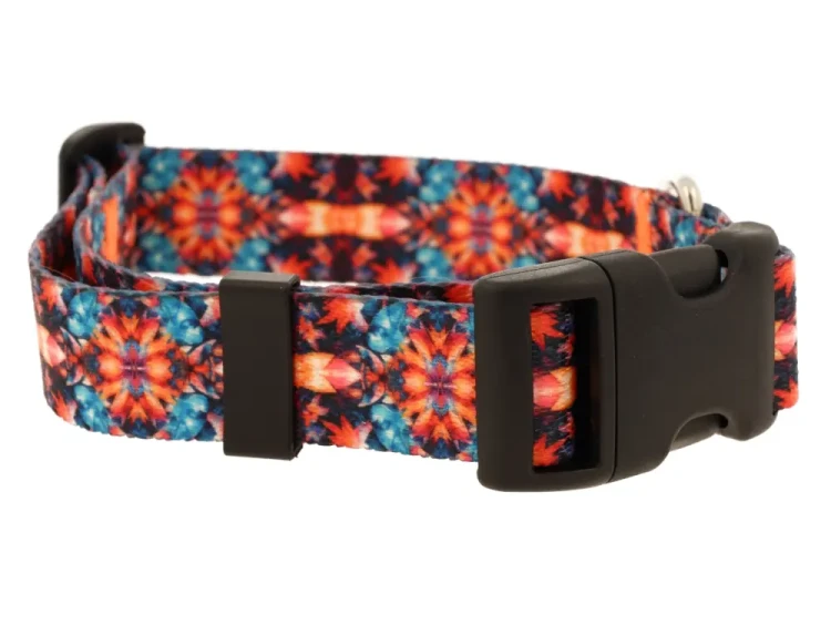 obroza regulowana 2.webp