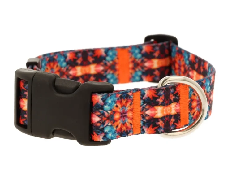 obroza regulowana 1.webp