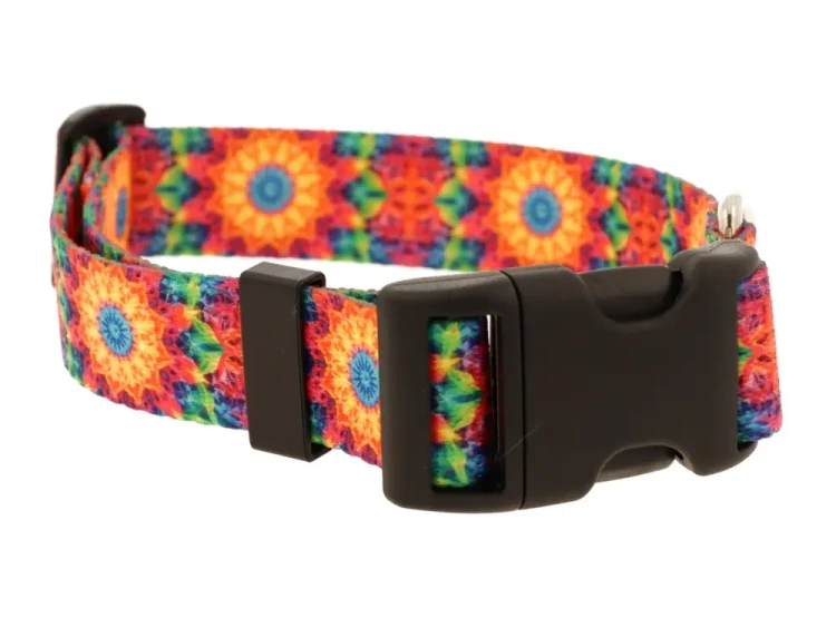 obroza regulowana 4.webp