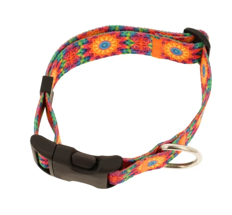 obroza regulowana 9.webp