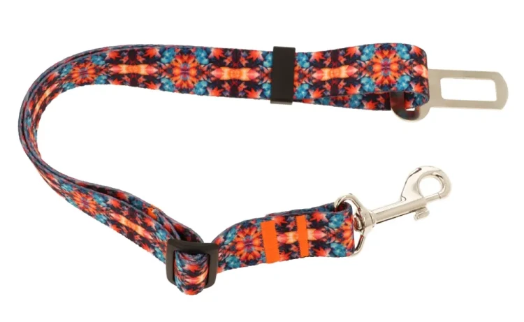 obroza regulowana 11.webp