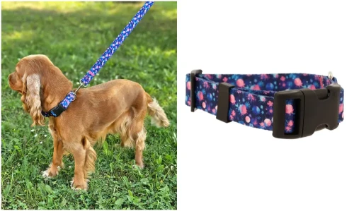 Obroża dla Psa Regulowana Handmade ASTROŚWIAT