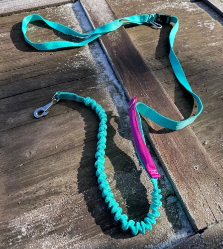 Smycz dla Psa z Amortyzator Regulacja Skracana z Rączką 280cm MIĘTA AMOhand Zepnij