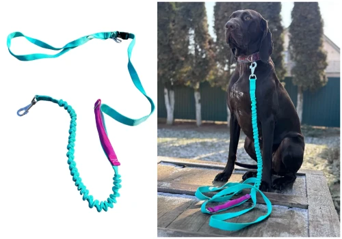 Smycz dla Psa z Amortyzator Regulacja Skracana z Rączką 280cm MIĘTA AMOhand Zepnij