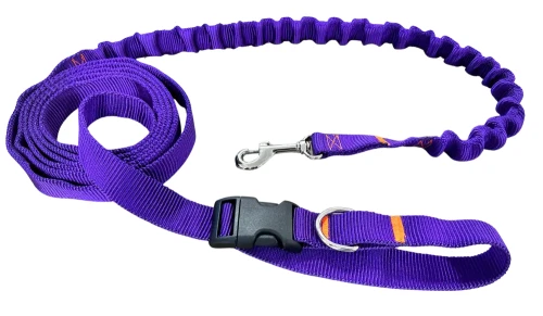 Smycz dla Psa z Amortyzatorem 380cm FIOLET Regulowana HandsFree Made in Poland