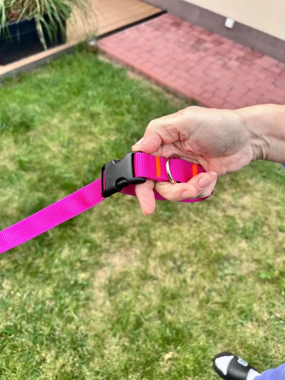 Smycz dla Psa z Amortyzatorem 480cm FUKSJA Regulowana HandsFree Made in Poland