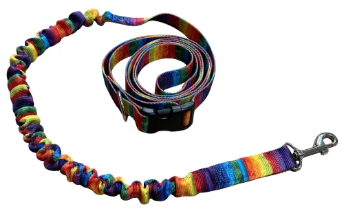 Smycz dla Psa z Amortyzatorem 480cm wzór TĘCZA Regulowana HandsFree
