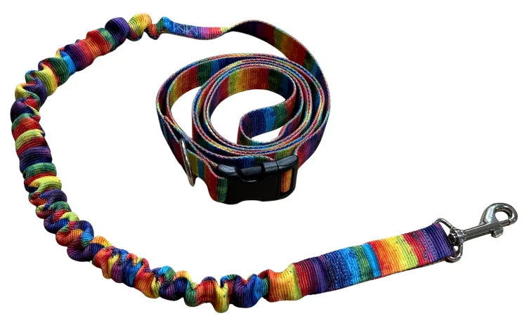 Smycz dla Psa z Amortyzatorem 480cm wzór TĘCZA Regulowana HandsFree