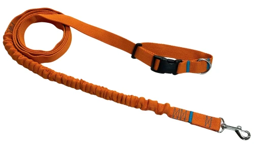 Smycz dla Psa z Amortyzatorem 280cm ORANGE Regulowana Sportowa