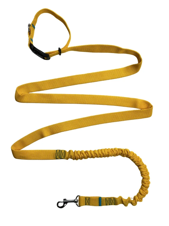 Smycz dla Psa z Amortyzatorem 380cm ŻÓŁTA Regulowana HandsFree Made in Poland