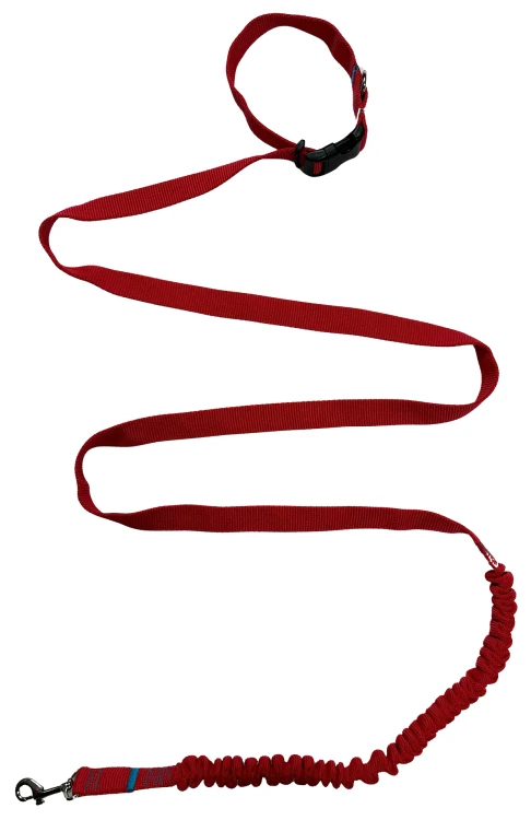 Smycz dla Psa z Amortyzatorem 480cm CZERWONA Regulowana HandsFree Made in Poland