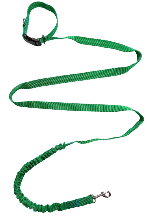 Smycz dla Psa z Amortyzatorem 480cm ZIELONA Regulowana HandsFree Made in Poland