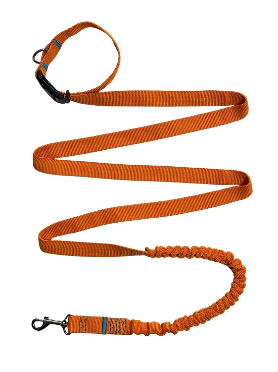 Smycz dla Psa z Amortyzatorem 480cm ORANGE Regulowana HandsFree Made in Poland