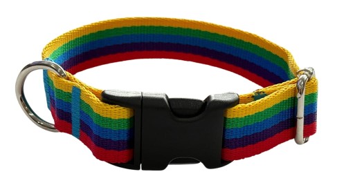 obroża dla psa z klamrą tęcza Zepnij 2.jpg