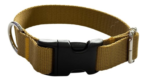 obroża dla psa z klamrą złota Zepnij 2.jpg