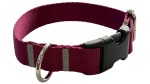 Obroża dla Psa 2 cm z klamrą Regulowana Bordowa Zepnij