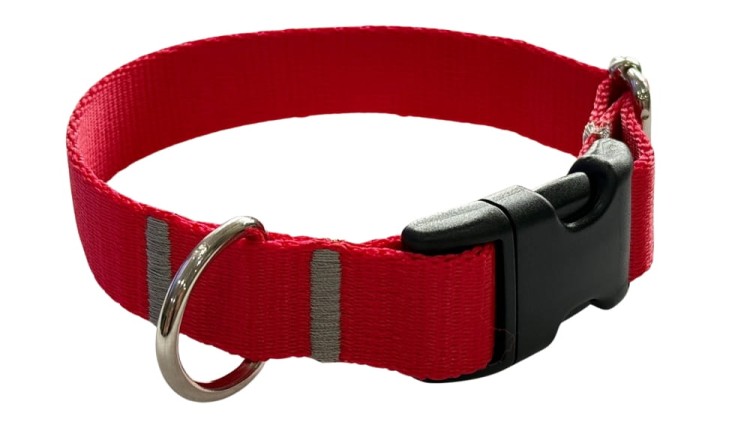 Obroża dla Psa 2,5 cm z klamrą Regulowana Czerwona Zepnij