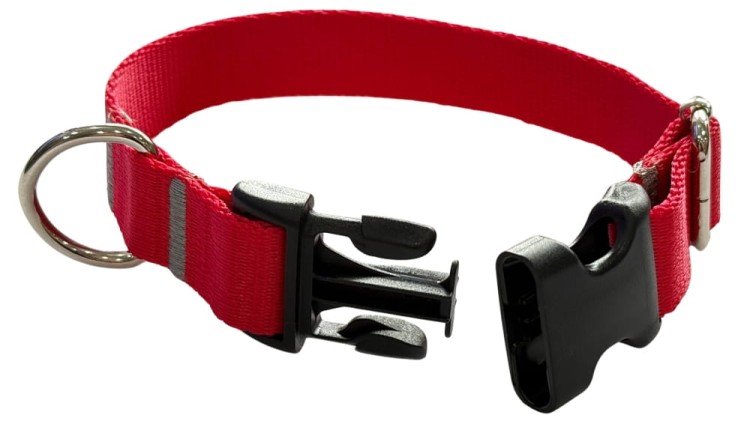 Obroża dla Psa 2,5 cm z klamrą Regulowana Czerwona Zepnij
