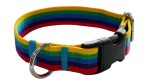 Obroża dla Psa 2,5 cm z klamrą Regulowana Tęcza Zepnij