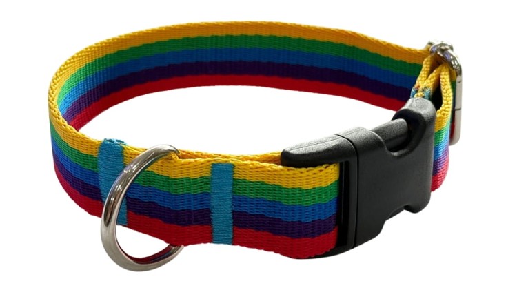Obroża dla Psa 2,5 cm z klamrą Regulowana Tęcza Zepnij