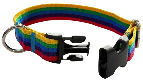 Obroża dla Psa 2,5 cm z klamrą Regulowana Tęcza Zepnij