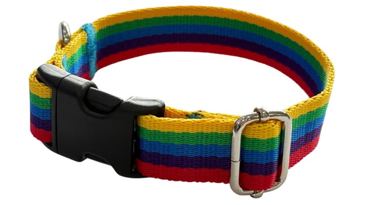 Obroża dla Psa 2,5 cm z klamrą Regulowana Tęcza Zepnij