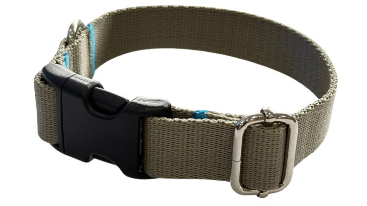 Obroża dla Psa 2,5 cm z klamrą Regulowana Oliwka Zepnij