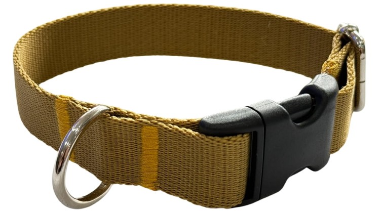 Obroża dla Psa 2,5 cm z klamrą Regulowana Złota Zepnij