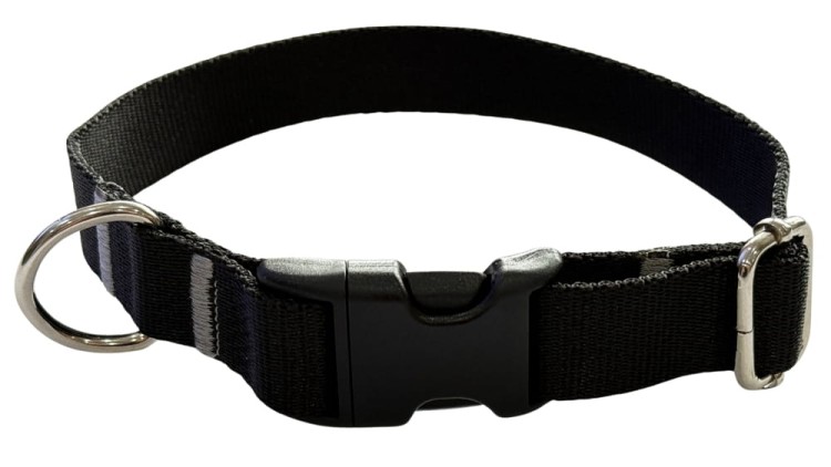 Obroża dla Psa 2,5 cm z klamrą Regulowana Czarna Zepnij