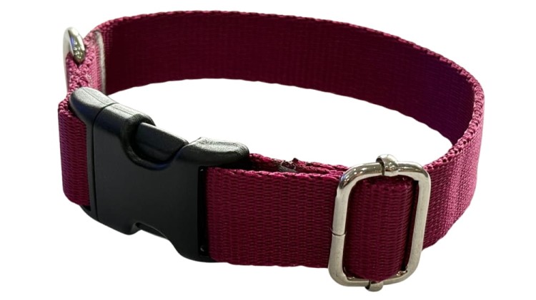 Obroża dla Psa 2,5 cm z klamrą Regulowana Bordowa Zepnij