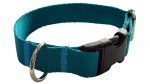 Obroża dla Psa 2,5 cm z klamrą Regulowana Turkus Zepnij