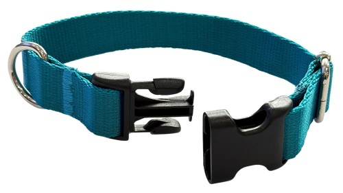 Obroża dla Psa 2,5 cm z klamrą Regulowana Turkus Zepnij