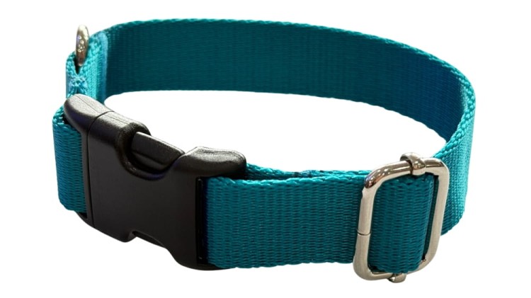 Obroża dla Psa 2,5 cm z klamrą Regulowana Turkus Zepnij