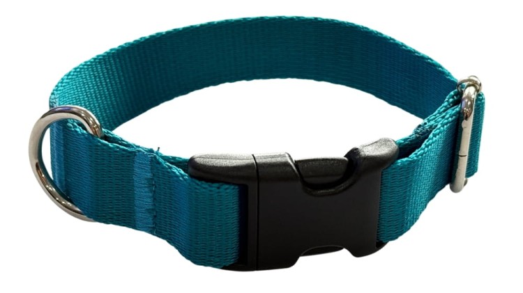 Obroża dla Psa 2,5 cm z klamrą Regulowana Turkus Zepnij