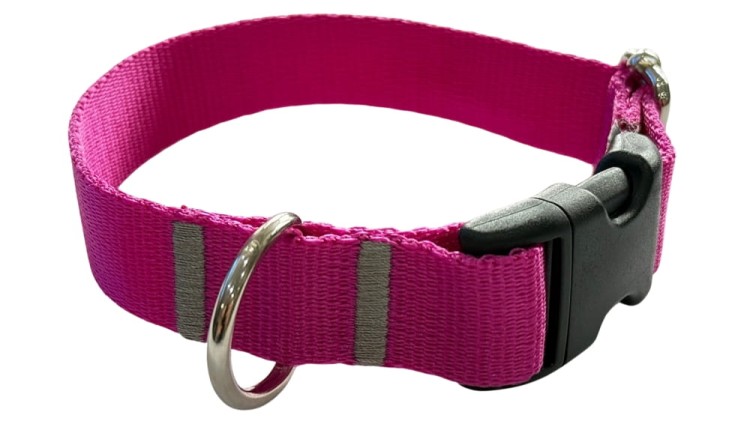 Obroża dla Psa 2,5 cm z klamrą Regulowana Fuksja Zepnij