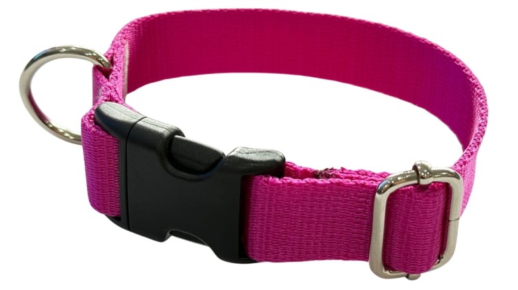 Obroża dla Psa 2,5 cm z klamrą Regulowana Fuksja Zepnij
