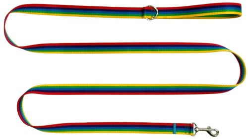 Smycz dla Psa Tradycyjna 2 cm Tęcza Zepnij