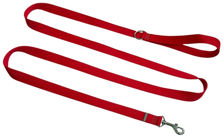 Smycz dla Psa Tradycyjna 2,5 cm Czerwona Zepnij