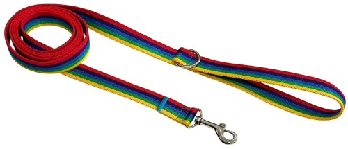 Smycz dla Psa Tradycyjna 2,5 cm Tęcza Zepnij