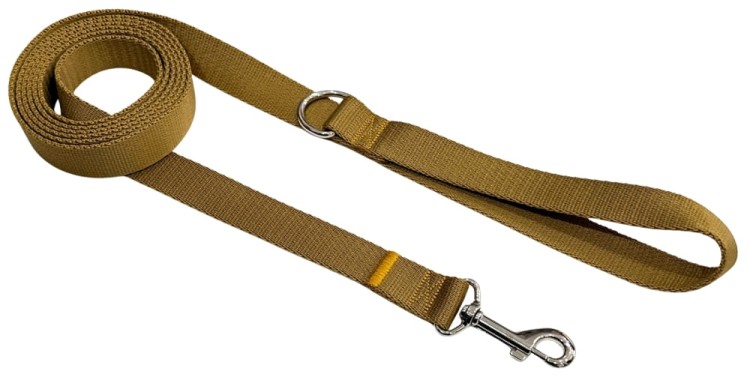 Smycz dla Psa Tradycyjna 2,5 cm Złota Zepnij