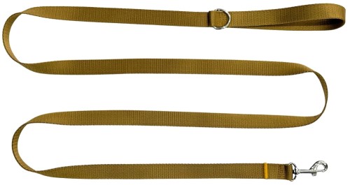 Smycz dla Psa Tradycyjna 2,5 cm Złota Zepnij