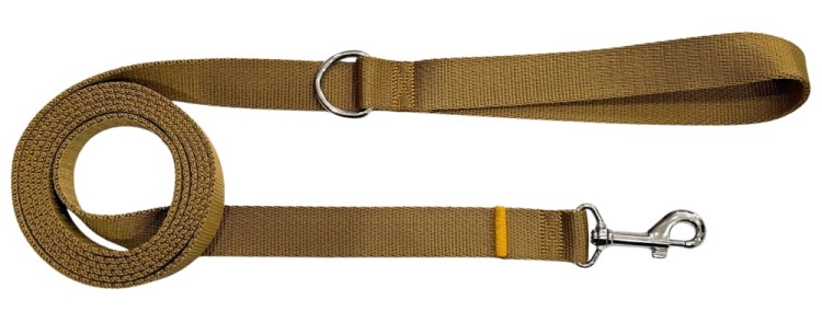Smycz dla Psa Tradycyjna 2,5 cm Złota Zepnij